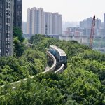 Photo symbiotic urban ecosystems